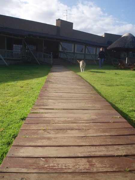 KeHa_in_South_Africa - 209